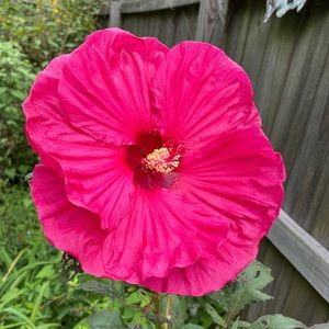 Meet your Posher, Terri